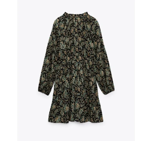 Zara Long Sleeve Mini Dress - Picture 6 of 15